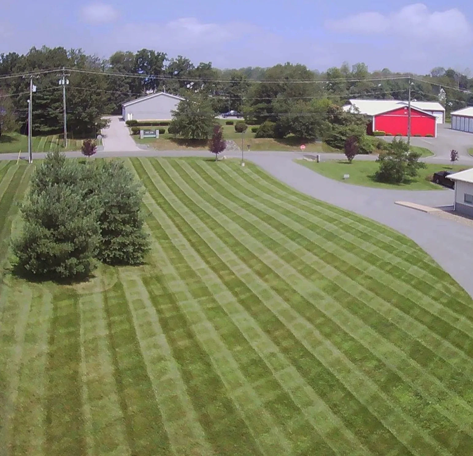Wide angle view of a lush green lawn with neat mowing lines next to a driveway and evergreen trees.